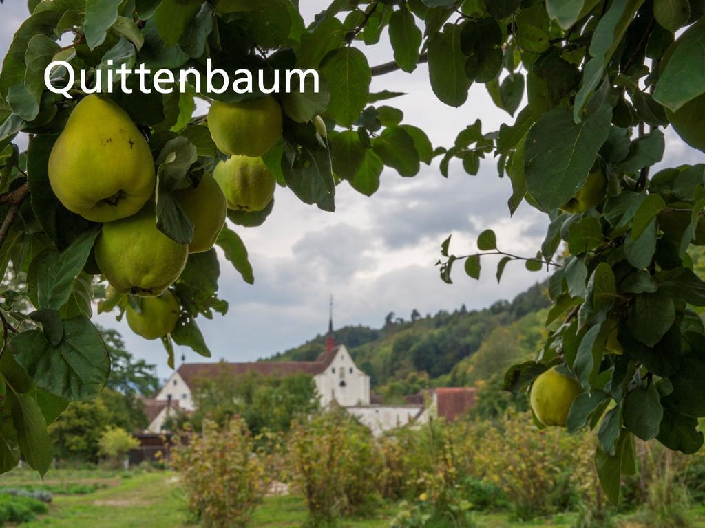 Kartause Ittingen Hotell Warth-Weiningen Exteriör bild