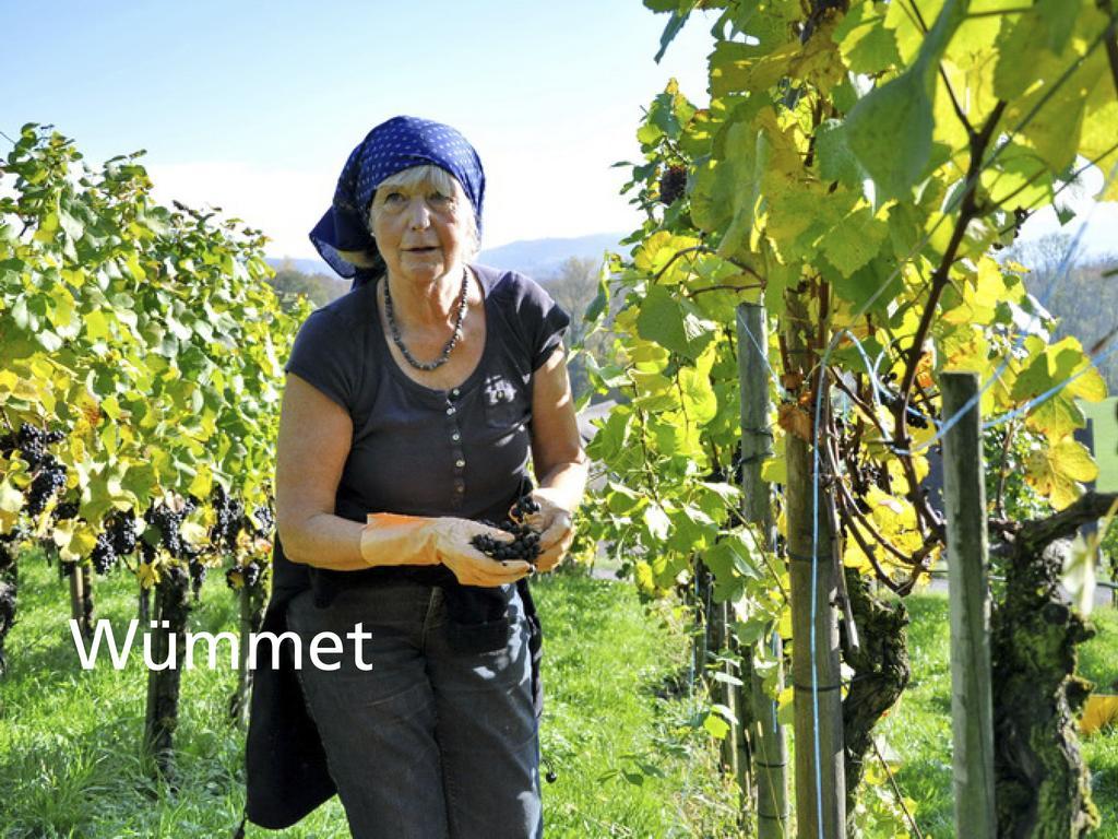 Kartause Ittingen Hotell Warth-Weiningen Exteriör bild