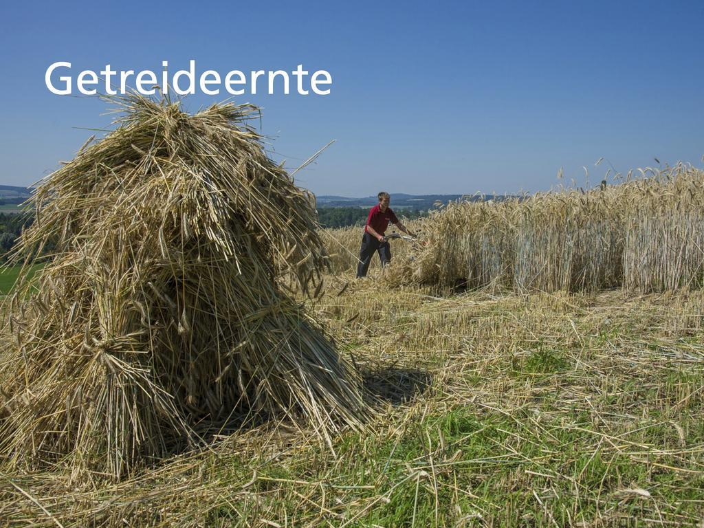 Kartause Ittingen Hotell Warth-Weiningen Exteriör bild