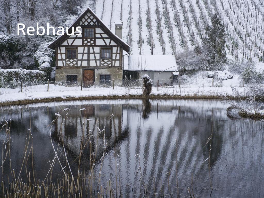 Kartause Ittingen Hotell Warth-Weiningen Exteriör bild