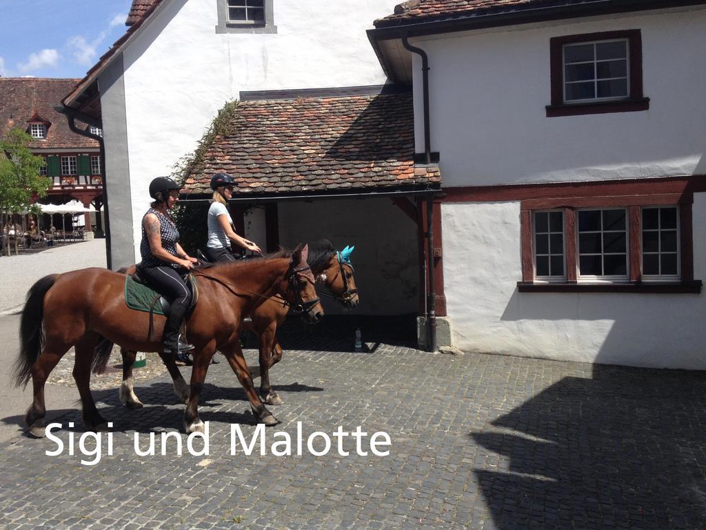 Kartause Ittingen Hotell Warth-Weiningen Exteriör bild