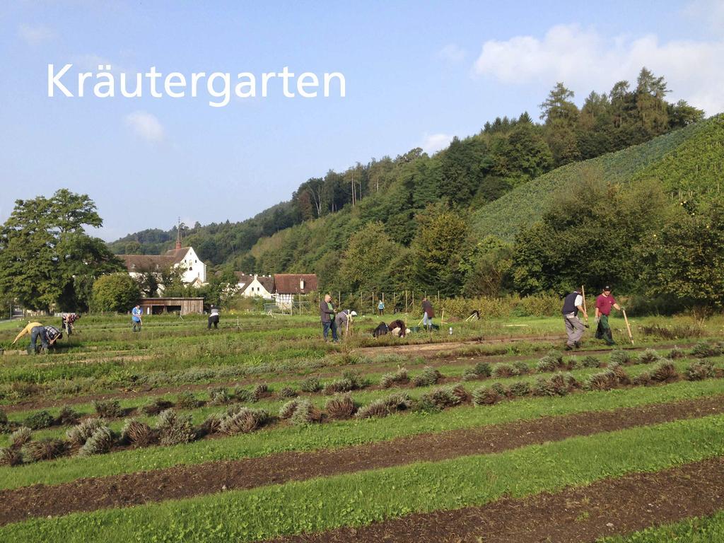 Kartause Ittingen Hotell Warth-Weiningen Exteriör bild